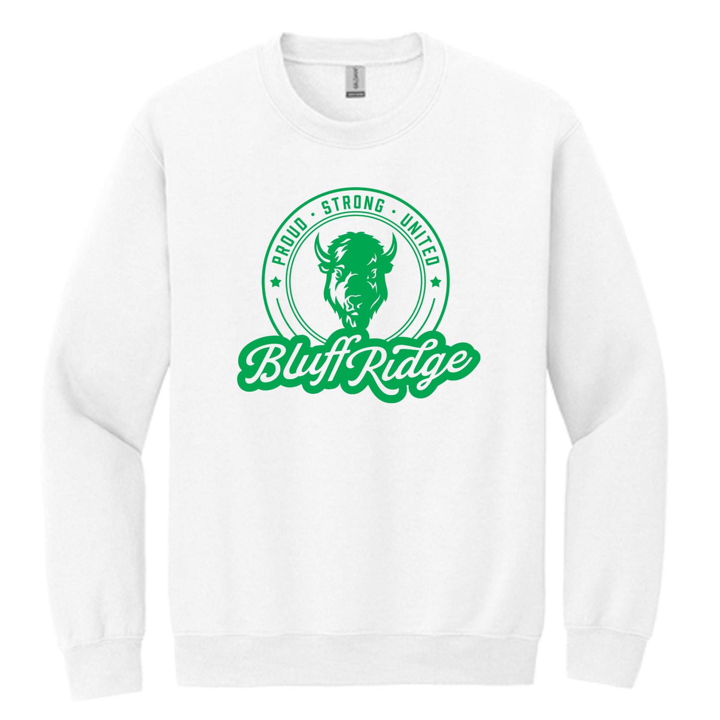 Bluff Ridge YOUTH Sweatshirt (2 COLORS ABAILABLE)